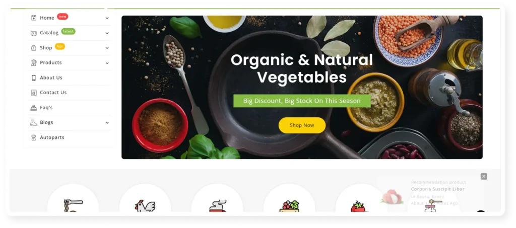 Bigg Market - Best 15 grocery shopify stores 2024