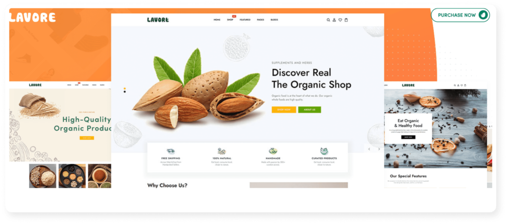 Top 15 Grocery Shopify Stores 2024