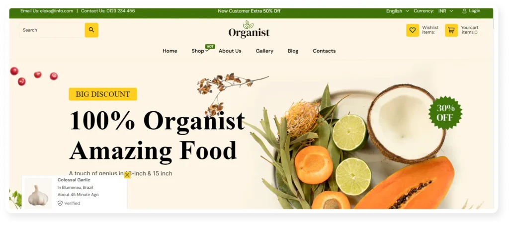 Organist - Best 15 grocery shopify stores 2024